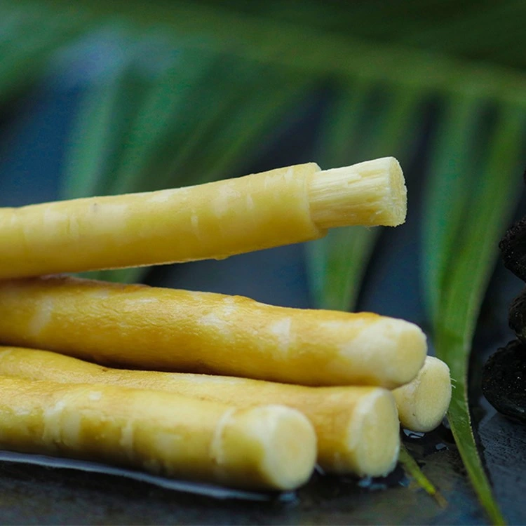 Fresh Miswak By Trueblue