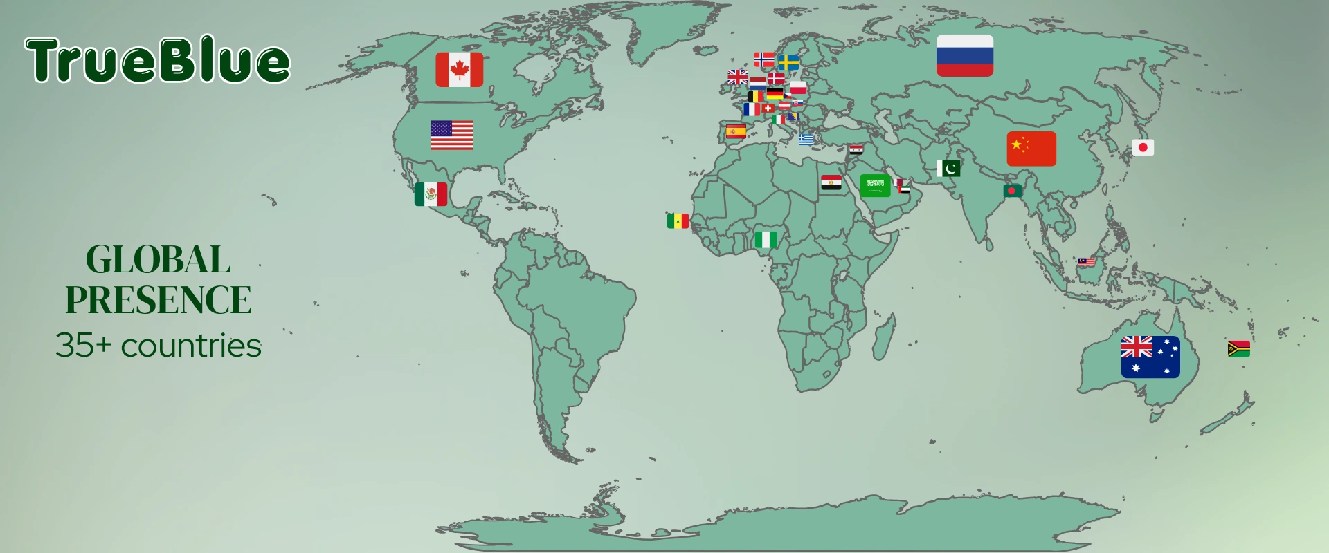 True Blue Trading Co's Global Presence